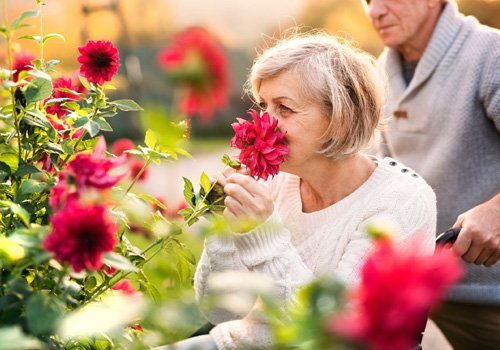 Senior woman smelling flowers outdoors